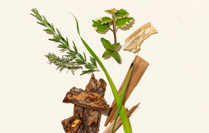 Selection of natural ingredients
