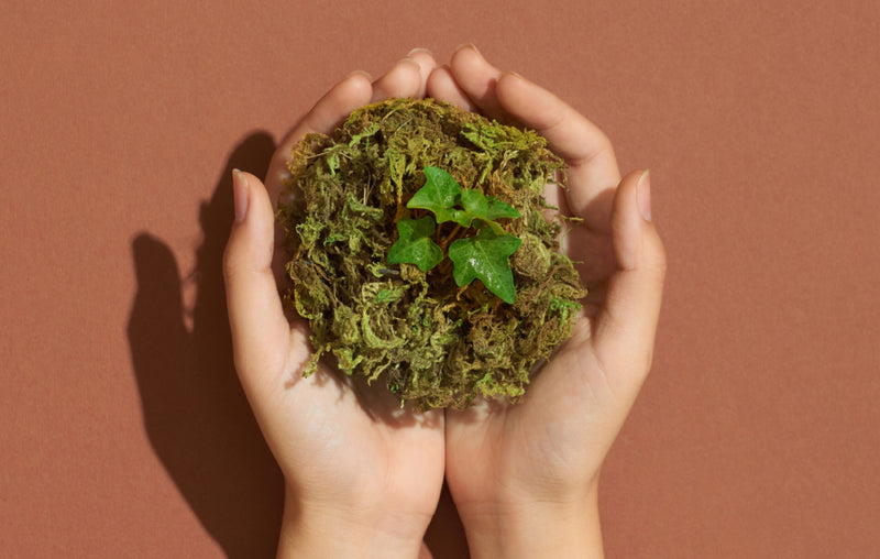 nature being held in hands