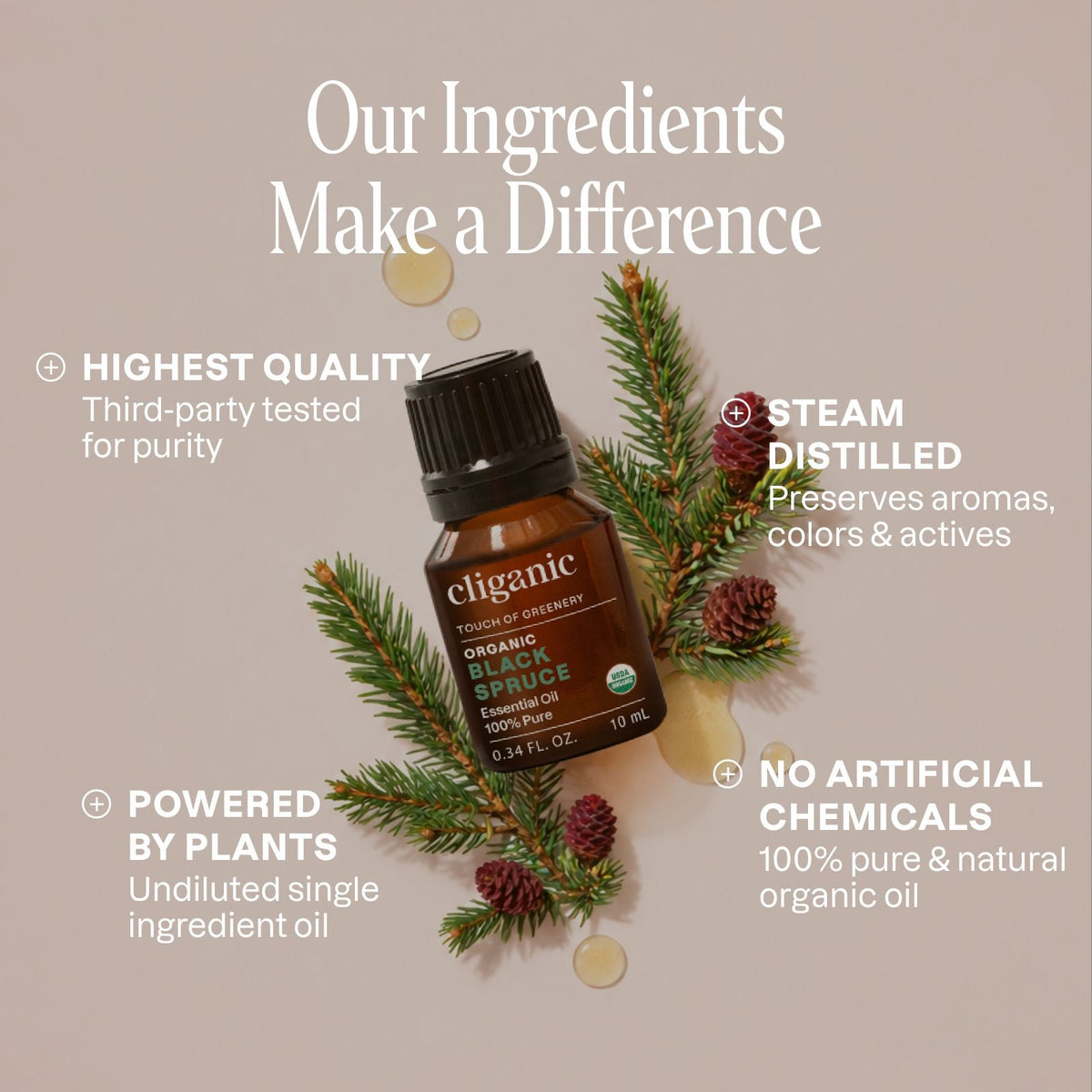 Organic Black Spruce Essential Oil | 100% Pure & Natural – Cliganic