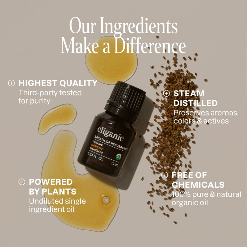 Organic Carrot Seed Essential Oil - Cliganic Essential Oil Singles