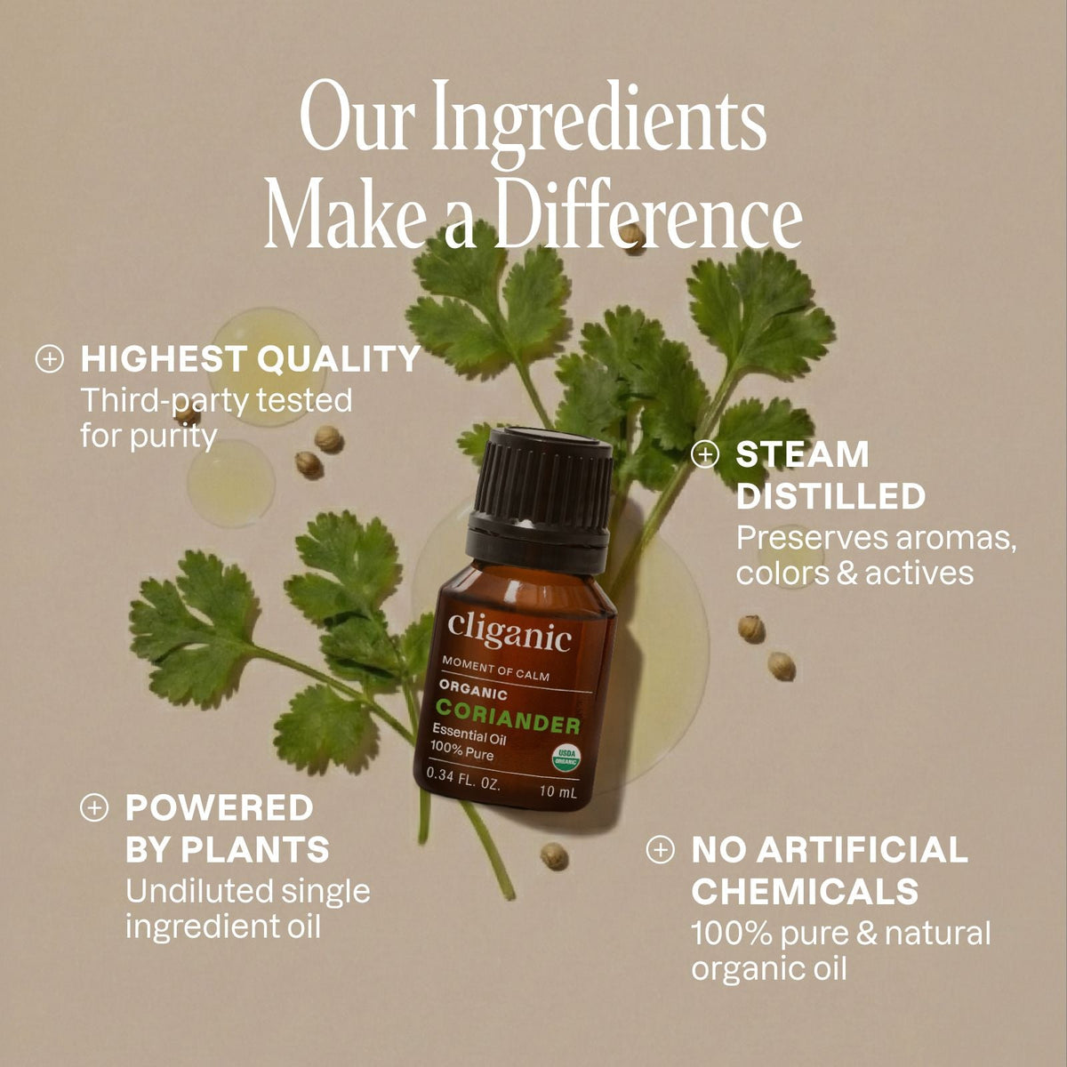 Organic Coriander Essential Oil | USDA Organic