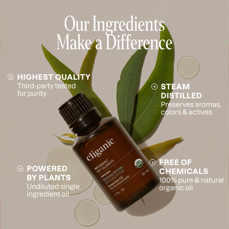 Organic Eucalyptus Essential Oil - Cliganic Essential Oil Singles