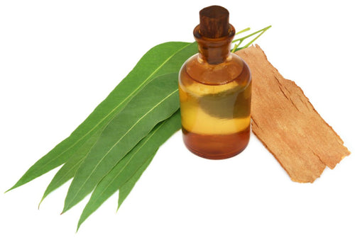 4 Ways to Repel Mosquitoes with Essential Oils - Cliganic