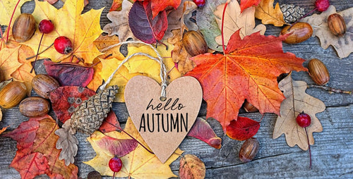 5 Fall Essential Oil DIYs - Cliganic