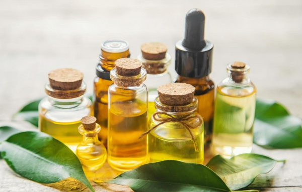 How to Store Essential Oils So They Don’t Go Bad