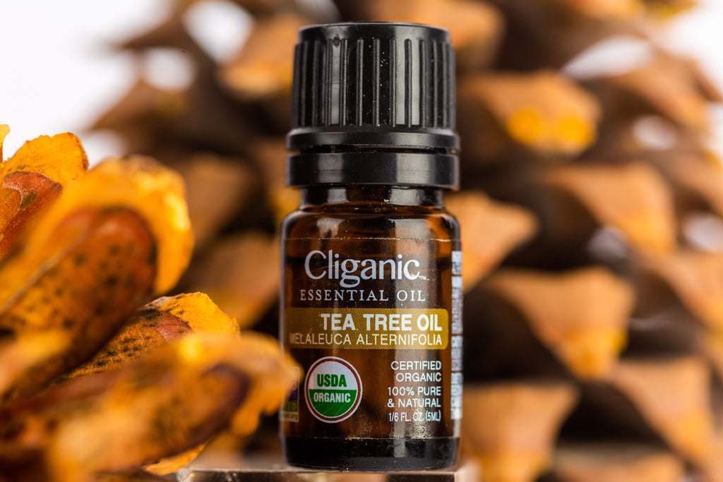 Organic Tea Tree Oil  Diffusing Tea Tree Oil - Benefits and Uses Cliganic