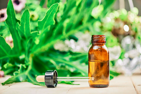 Top 5 Essential Oils for Sore Muscles and Post-Workout Recovery