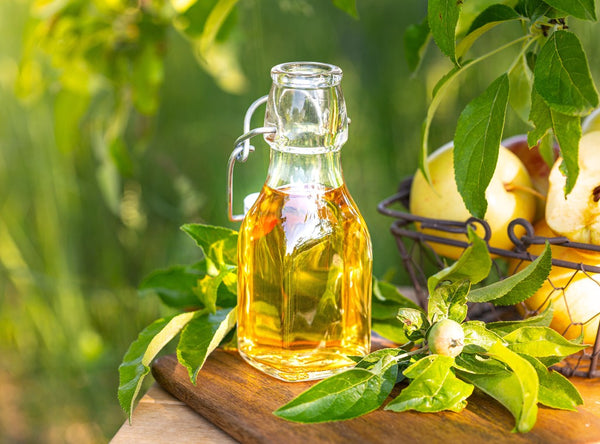 Lemon Tea Tree Essential Oil Benefits and Uses