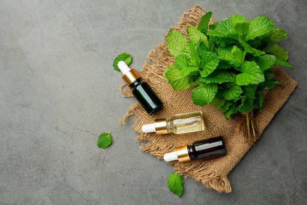 Oregano Essential Oil Benefits and Uses