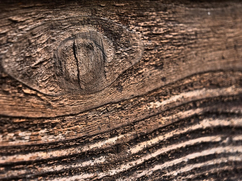 All About Cedarwood Essential Oil - Cliganic