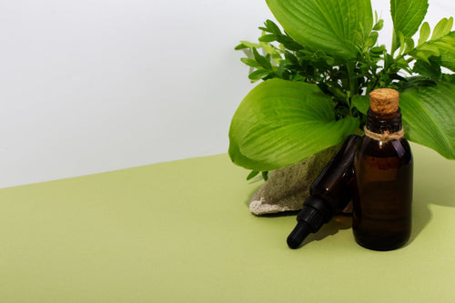 All About Moringa Oil: Benefits and Uses - Cliganic