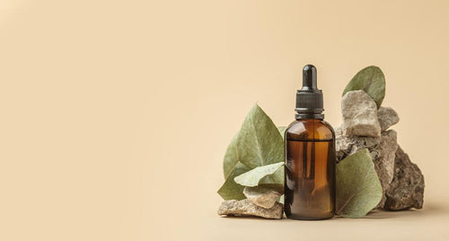 Best Essential Oils Blends for Thanksgiving - Cliganic