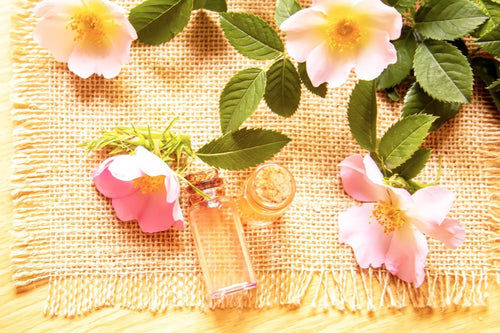 Best Essential Oils for Summer - Cliganic