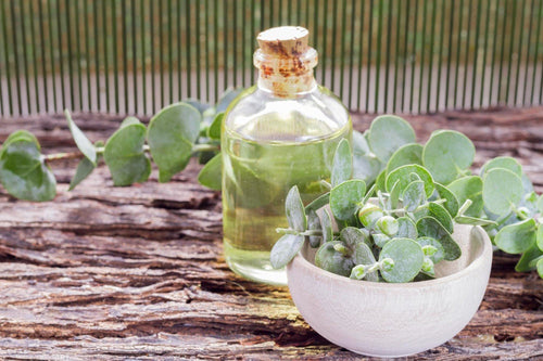 Essential Oils for Spring Gardening: Protecting Plants Naturally - Cliganic