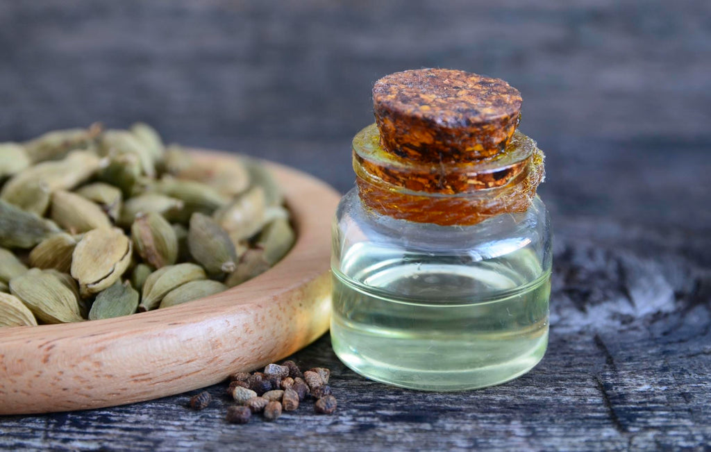 Pumpkin Seed Oil Benefits and Uses You Must Know Cliganic