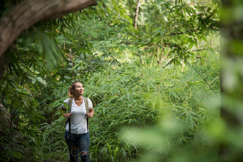 How to Find More Balance by Reconnecting with Nature - Cliganic