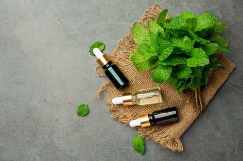 Oregano Essential Oil Benefits and Uses - Cliganic