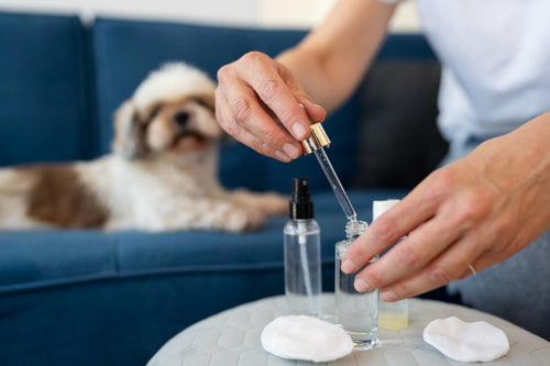 Using Essential Oils Around Pets - Cliganic