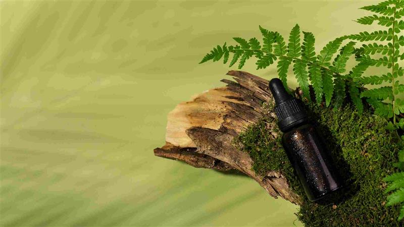 Zero-Waste Living: A Beginner’s Guide to Reducing Your Environmental Footprint - Cliganic