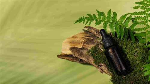 Zero-Waste Living: A Beginner’s Guide to Reducing Your Environmental Footprint - Cliganic