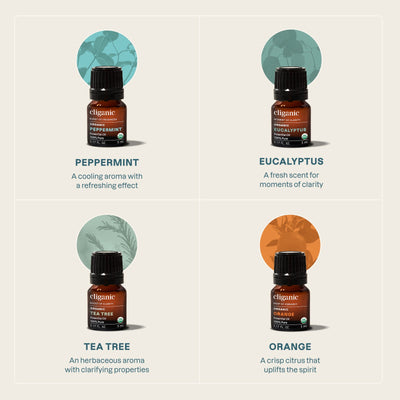 4 - Piece Essential Oil Aromatherapy Set - Cliganic Essential Oil Sets