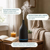 Black ceramic aromatherapy diffuser with essential oils and home décor