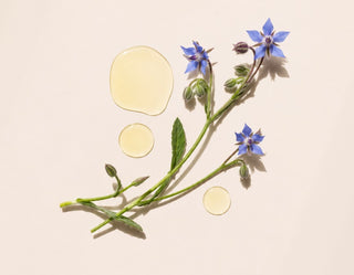 Cliganic