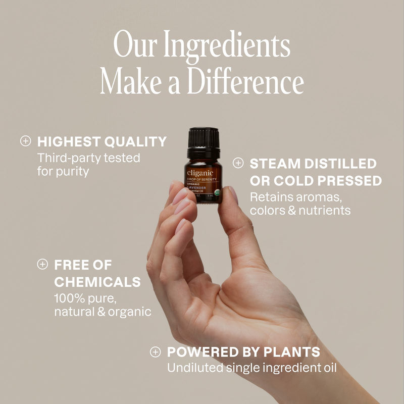 Organic Aromatherapy Set (Top 8 Essential Oils)