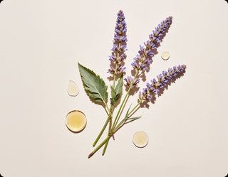 Cliganic