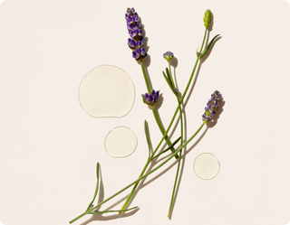 Cliganic