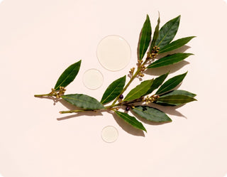 Cliganic