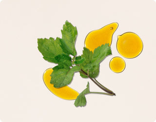 Cliganic