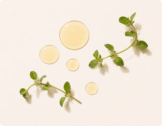 Cliganic