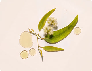 Cliganic