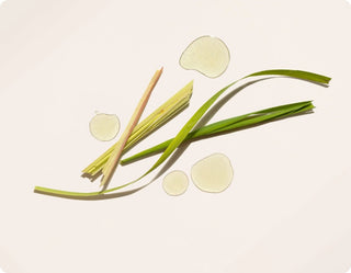 Cliganic