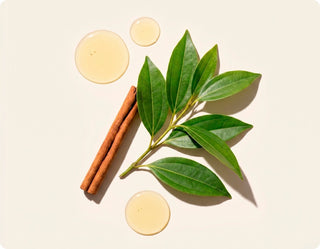 Cliganic