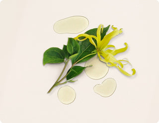 Cliganic