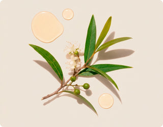 Cliganic