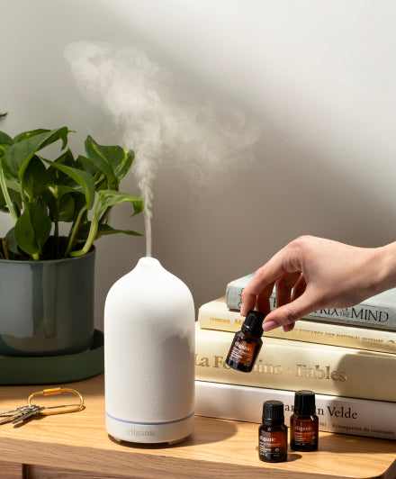 A white ultrasonic diffuser releasing mist sits on a wooden table next to a green potted plant and stacked books. A hand is adding an essential oil from a small brown bottle, with two more bottles nearby.