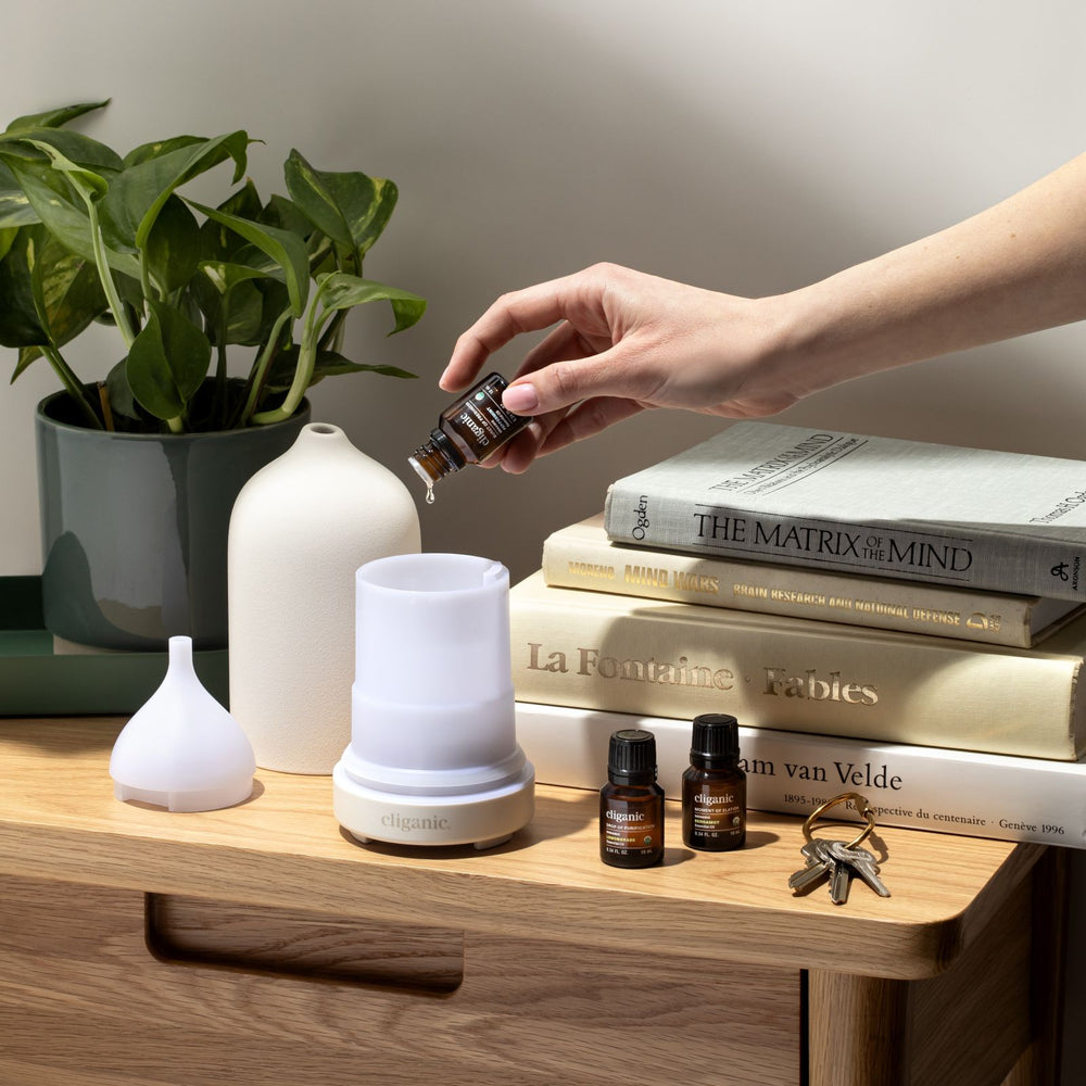 diffuser open oil living room