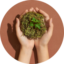 natural products held in hands