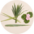 Natural mosquito repellent ingredients including lemongrass, rosemary, and flowers on a neutral background