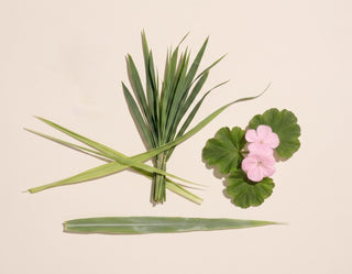 Cliganic