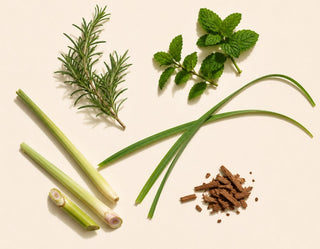 Cliganic
