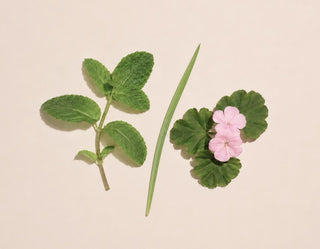 Cliganic