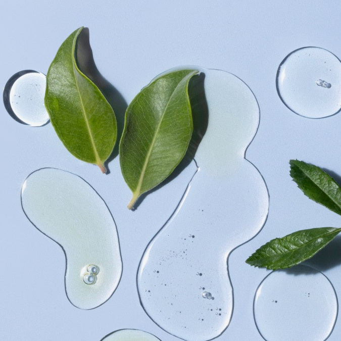 Green leaves and clear gel-like substances on a light blue background