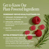 The Grow Your Glow plant-powered haircare ingredients and botanical extracts