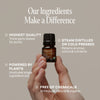 Essential Oil Beginners Kit - Cliganic Essential Oil Singles