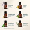 Essential Oil Core Collection - Cliganic Essential Oil Singles