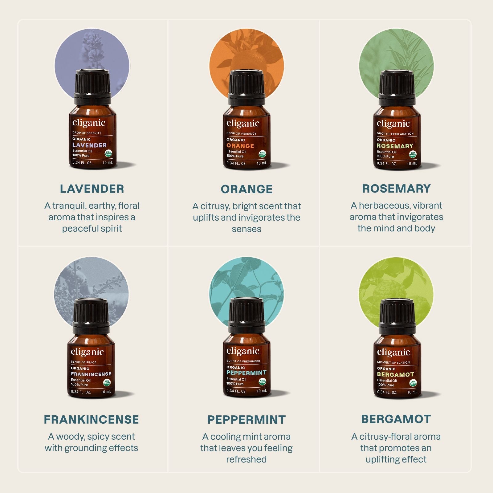 Essential Oil Core Collection | 6-Piece Set - Cliganic